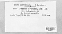 Puccinia houstoniae image